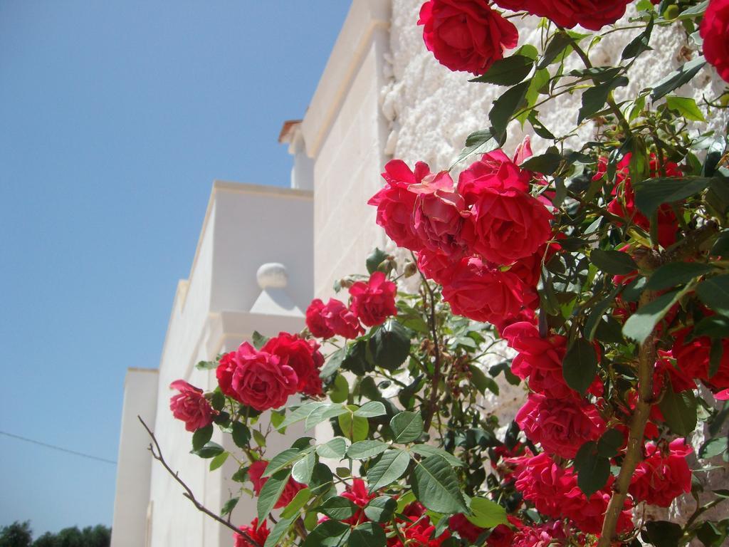 منزل الضيف San Marzano di San Giuseppe  في Masseria Nuova المظهر الخارجي الصورة