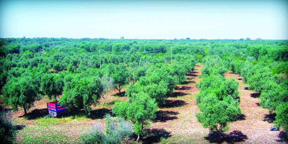 منزل الضيف San Marzano di San Giuseppe  في Masseria Nuova المظهر الخارجي الصورة