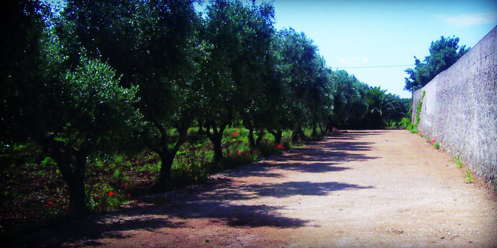 فرانكافيلا فونتانا Masseria Nuova المظهر الخارجي الصورة