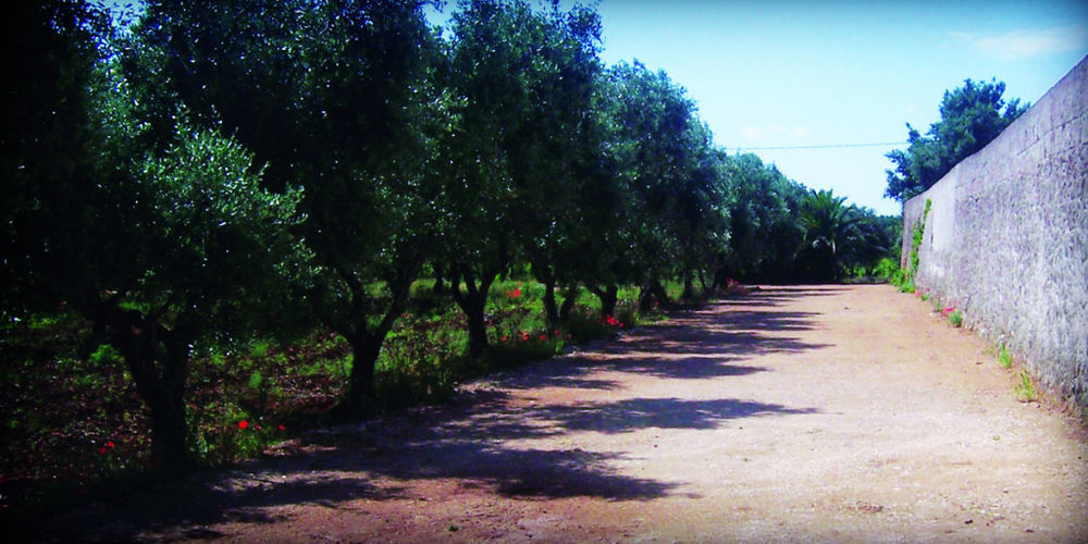 منزل الضيف San Marzano di San Giuseppe  في Masseria Nuova المظهر الخارجي الصورة